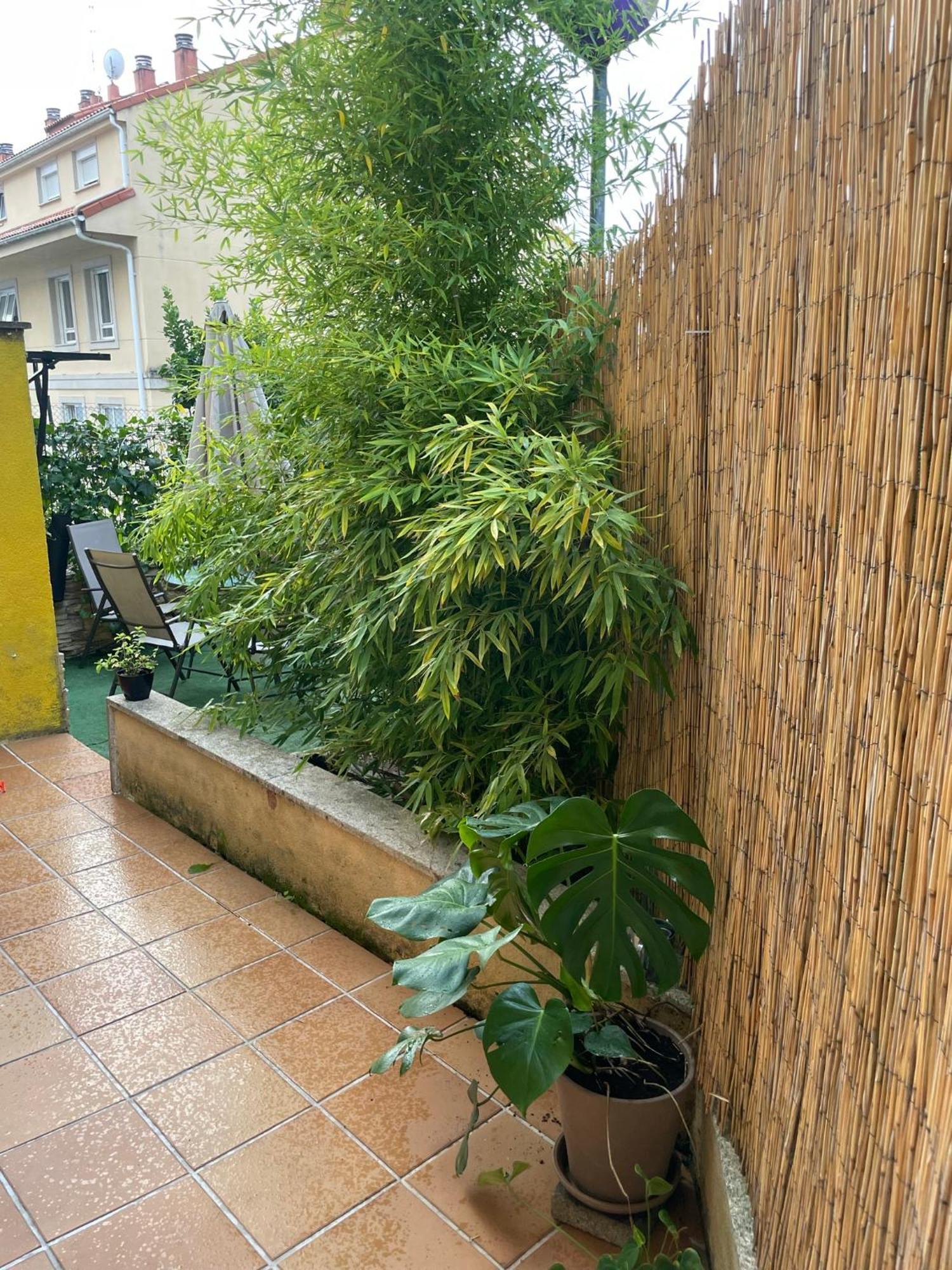 San Salvador de PoioEcobambu Con Terraza Y Parking En Pontevedraアパートメント エクステリア 写真